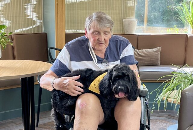 Black therapy dog is sitting in a patient's lap, patient is smiling