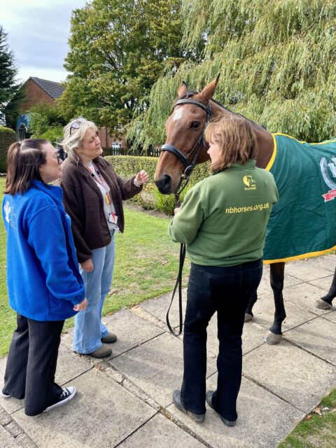 Three people gather around a bridled chestnut horse wearing a green-and-yellow blanket outdoors.