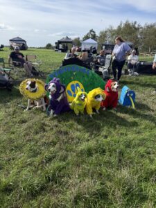 Five dogs in colorful Teletubbies-themed costumes pose on a grassy field beside a “Teletubbies” display.