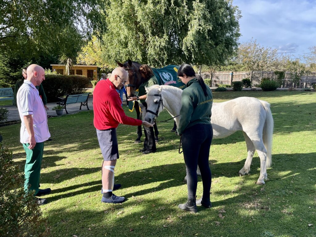 People interact with two horses on a sunny lawn, including a white pony in the foreground and a dark horse wearing a green blanket.